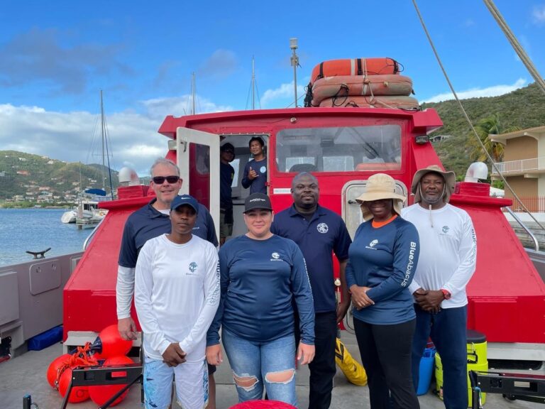 UK-funded Ocean Wildlife Network Provides Underwater Cameras to BVI