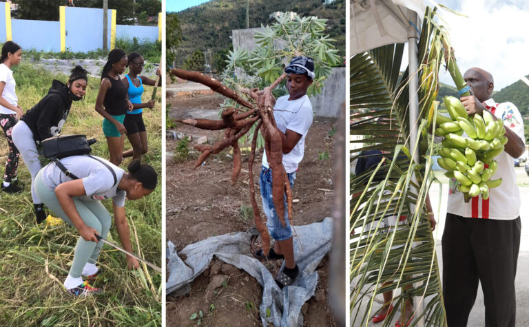 Agriculture and Fisheries Exhibition to Highlight Local Production This April