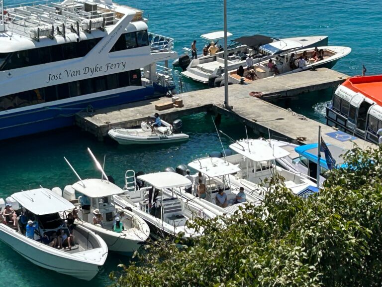 Chaos at Dog Hole: Business Owners Demand Dock Improvements Amid Power Outages and Overcrowding