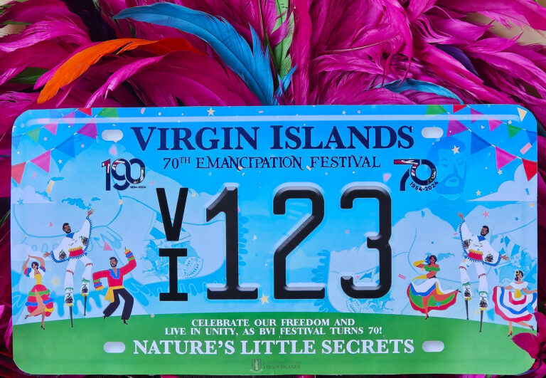 DMV Unveils Winning Design for Emancipation Festival Commemorative License Plate