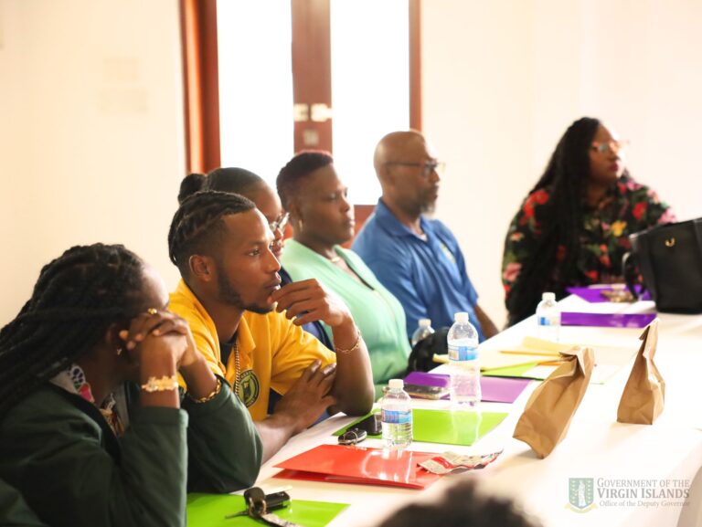 Eighty Virgin Islands Public Officers Complete Customer Service Training