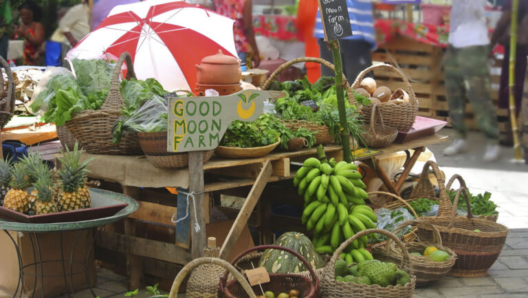 Agriculture and Fisheries Month to Focus on Innovation and Sustainability