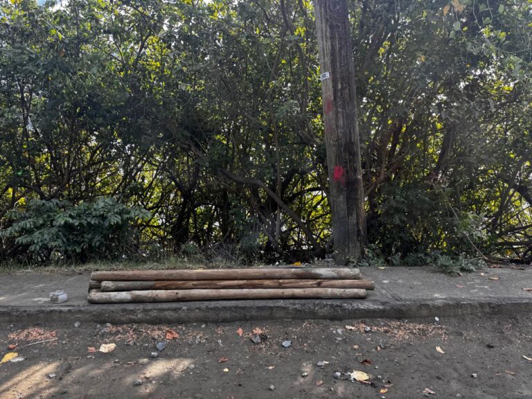 Gov’t Apologises After Land Dispute Halts Hodges Creek Road Project