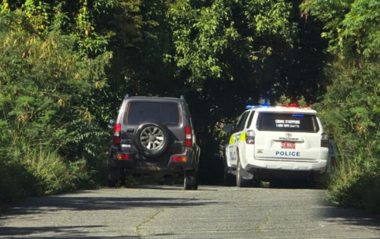 High-Speed Chase Ends in Sea Cows Bay as Police Seize Marijuana