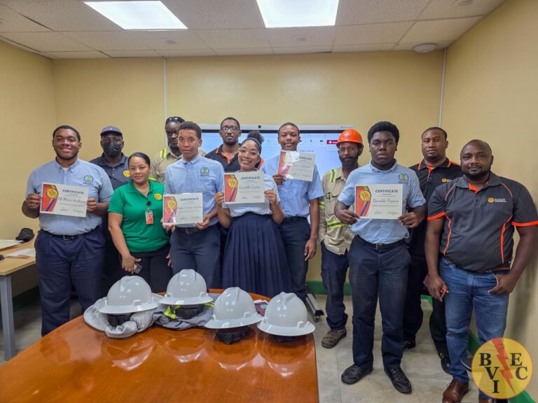 BVIEC Wraps Up First-Ever Student Mentorship Program with Elmore Stoutt High School