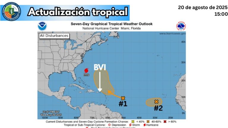 DDM Monitoring Two Tropical Waves in the Atlantic