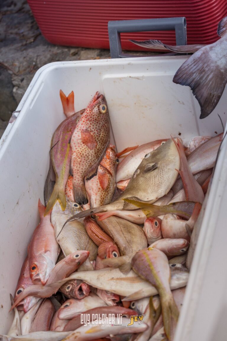 Arrest of Fishermen Raises Questions About Fairness of Laws