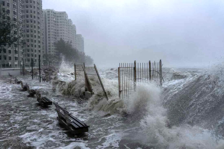 BVI Hong Kong Office Staff and Students in Hong Kong and Macao Safe Following Super Typhoon “Ragasa”