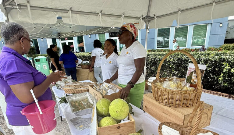 World Food Day Market and Food Fair Underway at Noel Lloyd Park