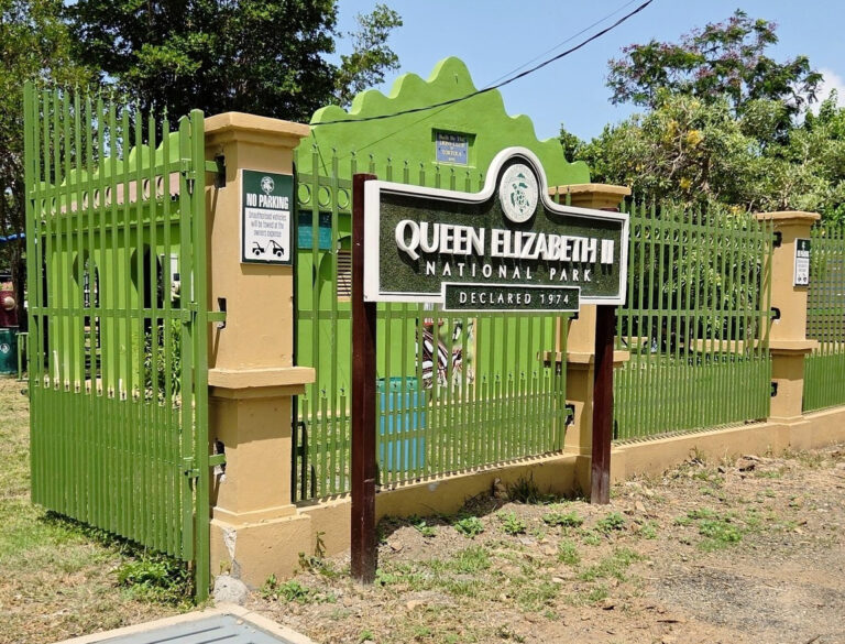 Queen Elizabeth II Park Reopens Following Renovation Works