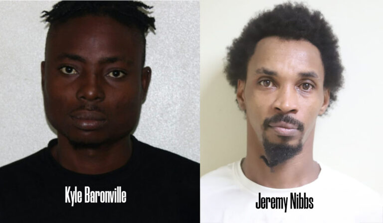 Two Men Charged After Police Seize Firearm and Explosives