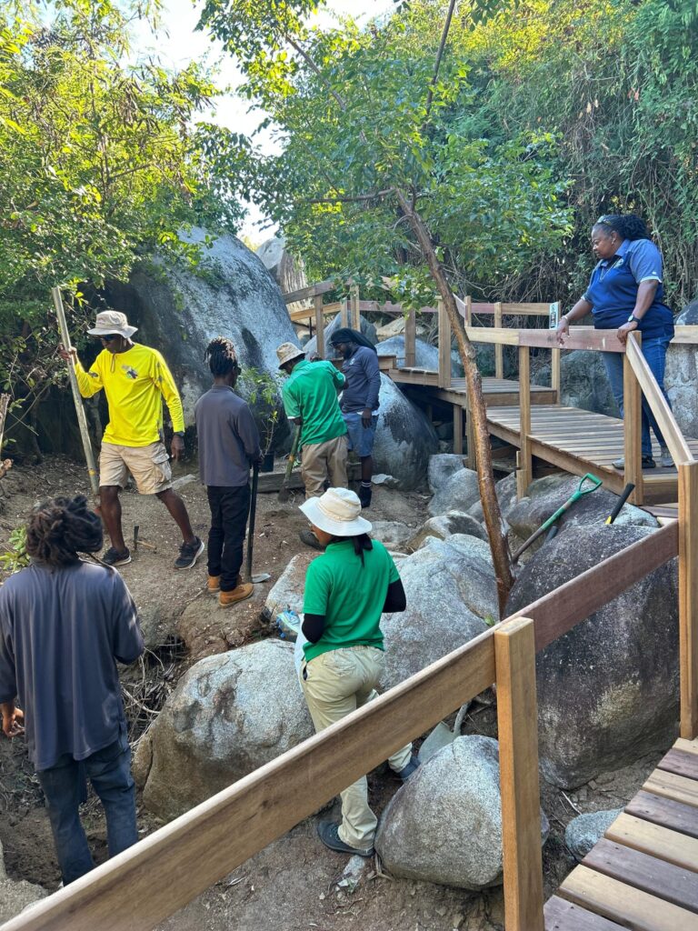 National Parks Trust Marks Arbour Day With Native Tree Planting at The Baths and Spring Bay