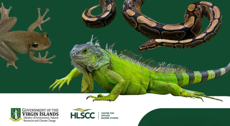 Experts to Discuss Impact of Invasive Species at HLSCC Public Forum