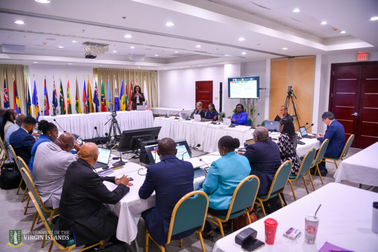 Virgin Islands Hosts Regional Disaster Coordinators for CDEMA Technical Advisory Meeting