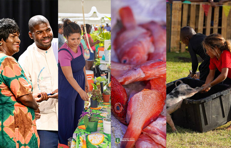 Strong Turnout as Agriculture and Fisheries Exhibition Moves to Festival Grounds
