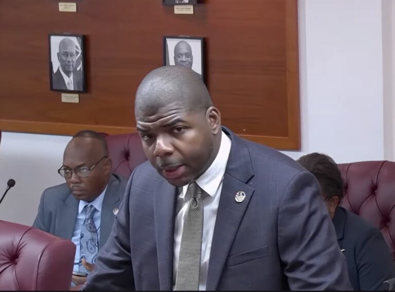 Hon. Wheatley Introduces Elections Amendment Bill in House of Assembly
